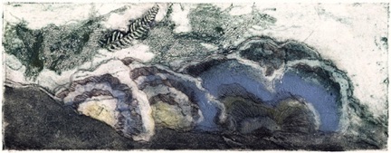 blue tree fungus     &copy; 2010  ll